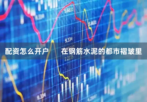 配资怎么开户      在钢筋水泥的都市褶皱里