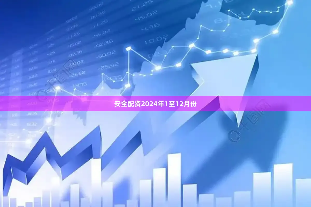 安全配资　　2024年1至12月份