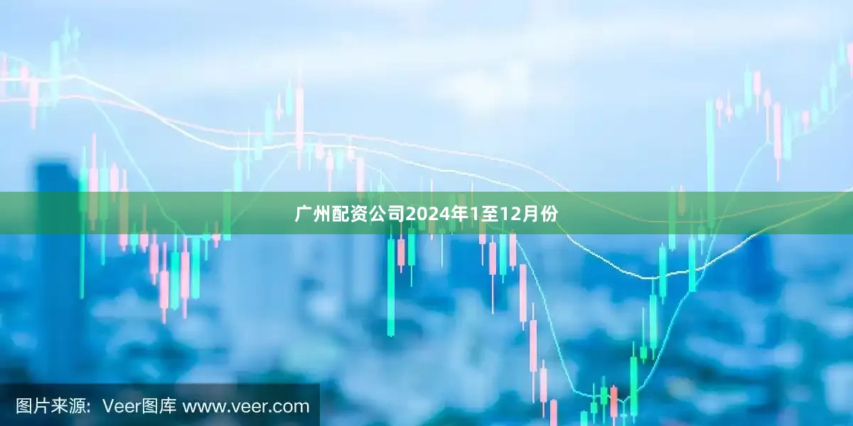 广州配资公司　　2024年1至12月份