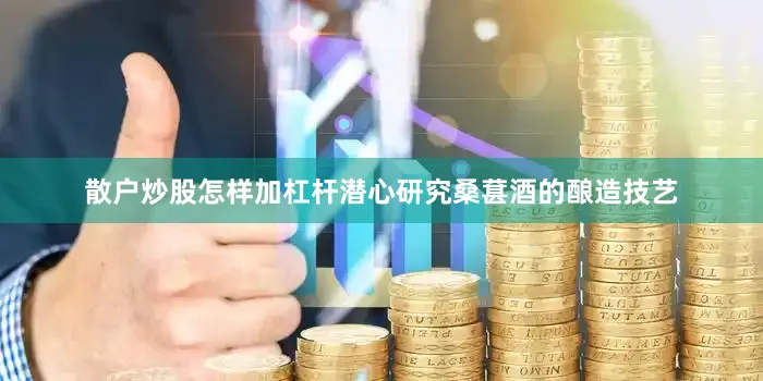 散户炒股怎样加杠杆潜心研究桑葚酒的酿造技艺
